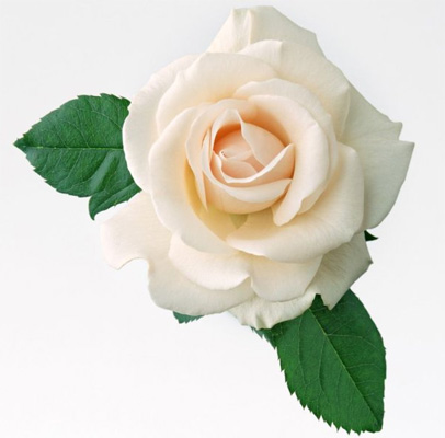 Студия красоты метро Марьино